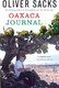 Oaxaca Journal