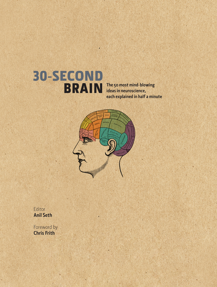 30-second Brain