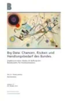 Big Data: Chancen, Risiken und Handlungsbedarf des Bundes