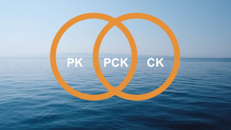 Das PCK-Modell