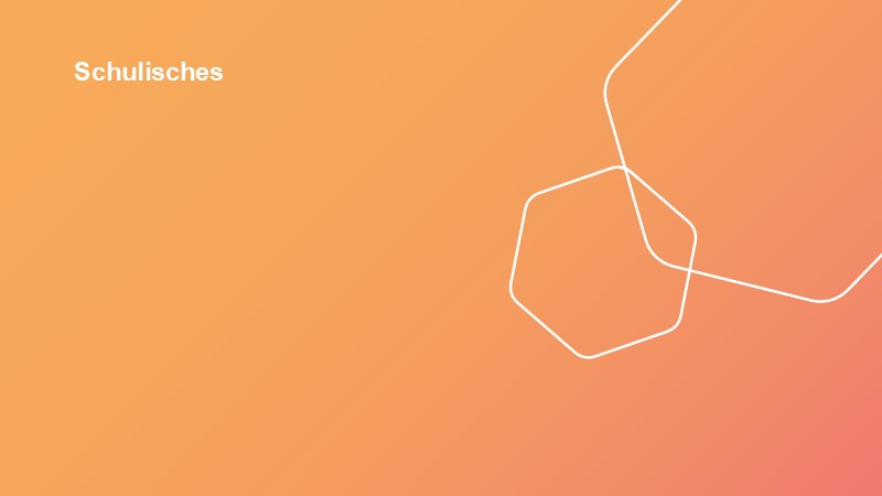 Schulisches